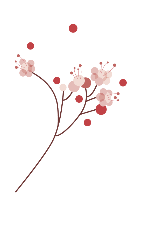 Logo fleur de sarrazin