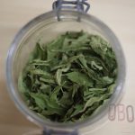 Verveine citronnée