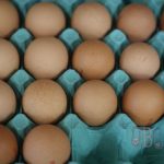 Oeuf XXL
