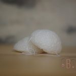 Eponge Konjac