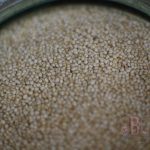 Quinoa blanc