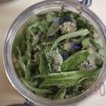 Tisane des lutins