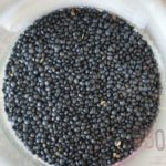 Lentilles noires Beluga