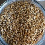 Petit épeautre en grain Bio