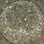 Thé vert citron-verveine