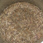 Kukicha thé grillé