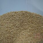 Couscous de petit épeautre
